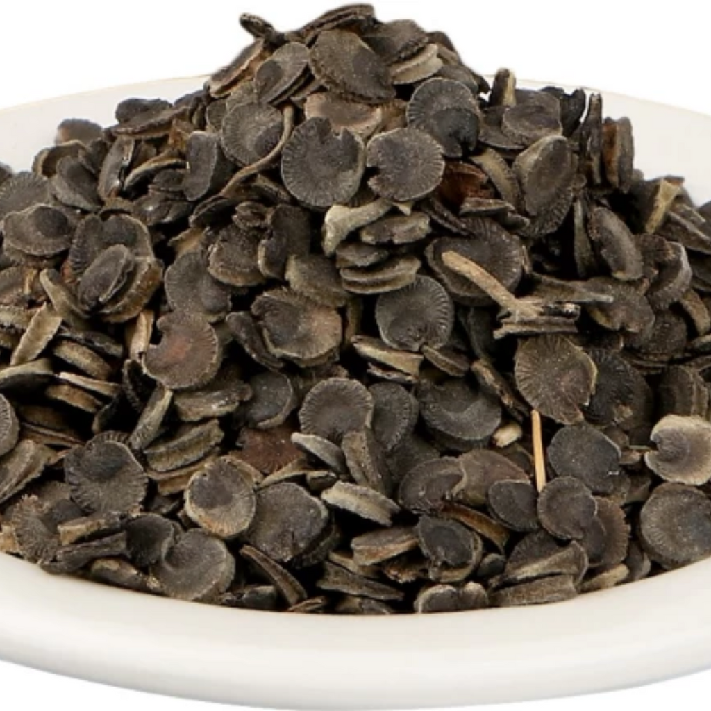 Khatmi / Marshmallow / Althaea Officinalis خطمی