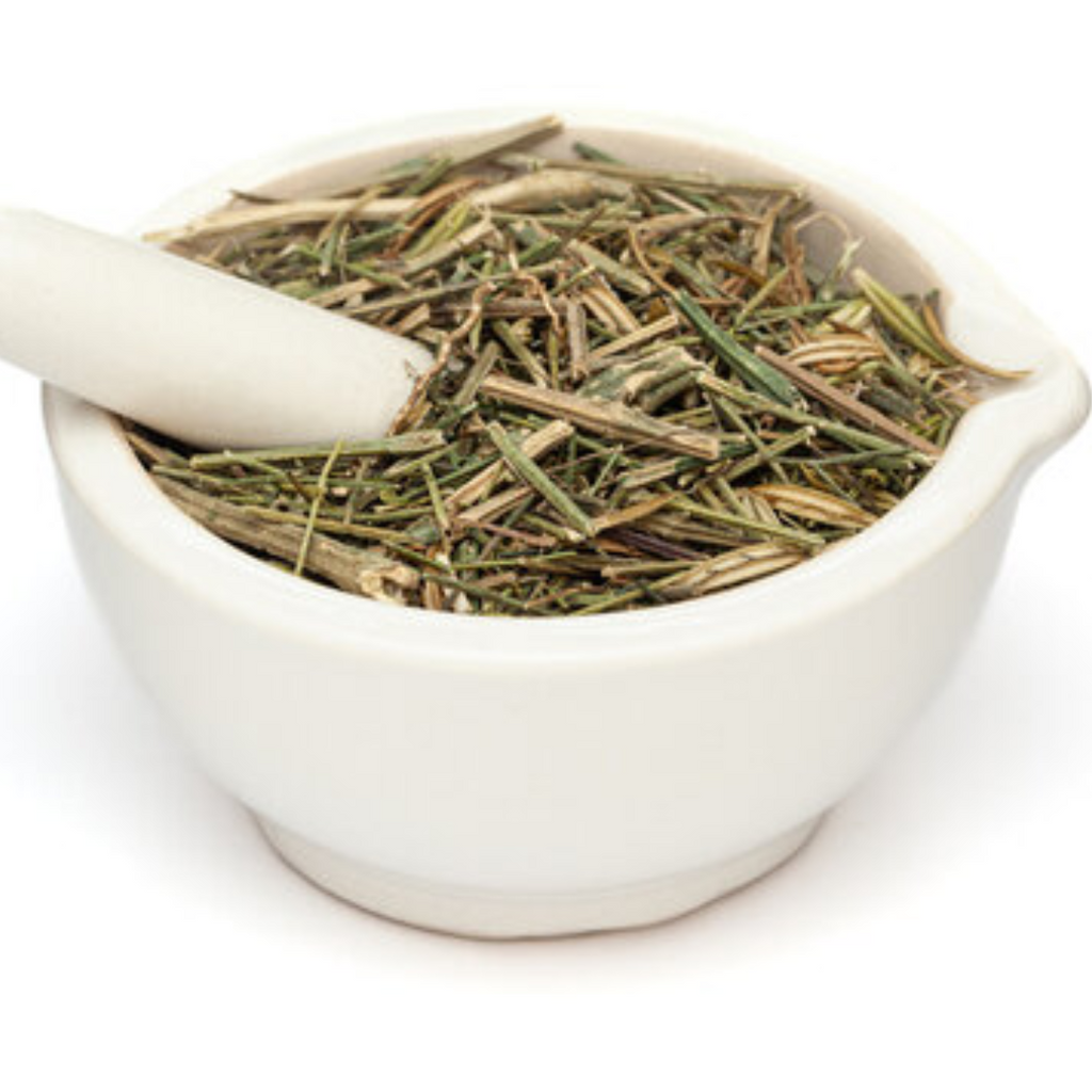 Charaita / Chiretta / Andrographis Paniculata چرائتہ