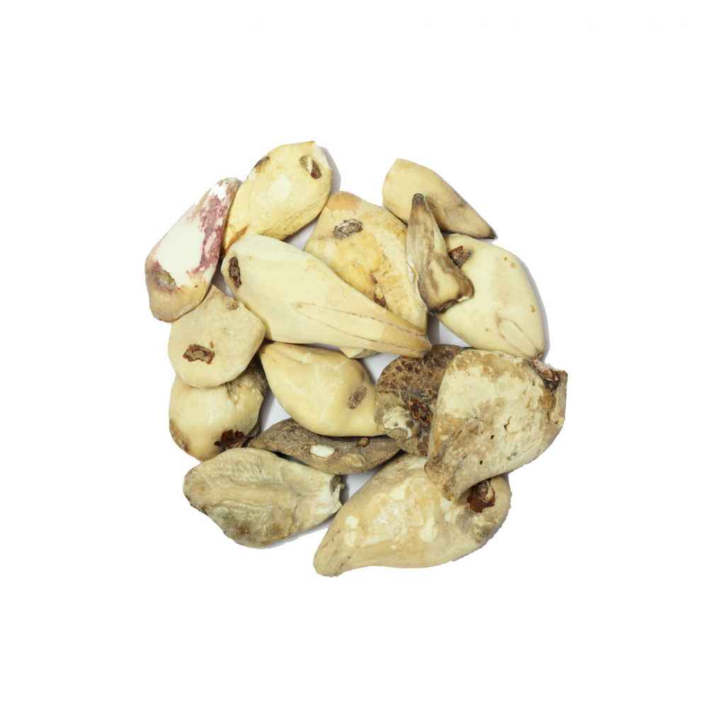 Surinjan Shireen / Colchicum Luteum  / سرنجان شیریں