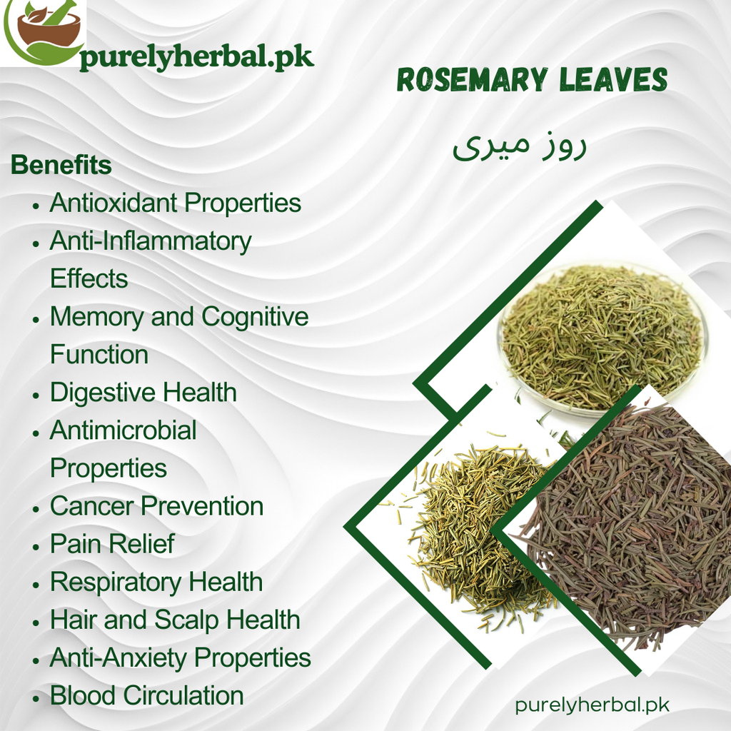 Rosemary Leaves روز میری