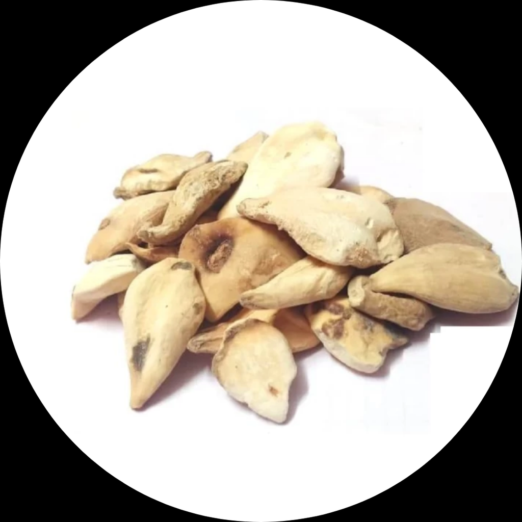 Surinjan Shireen / Colchicum Luteum  / سرنجان شیریں
