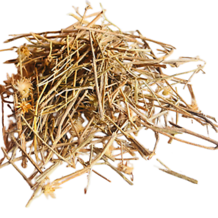 Barham Dandi / Cirsium Vulgare / Bull Thistle / برہم ڈنڈی
