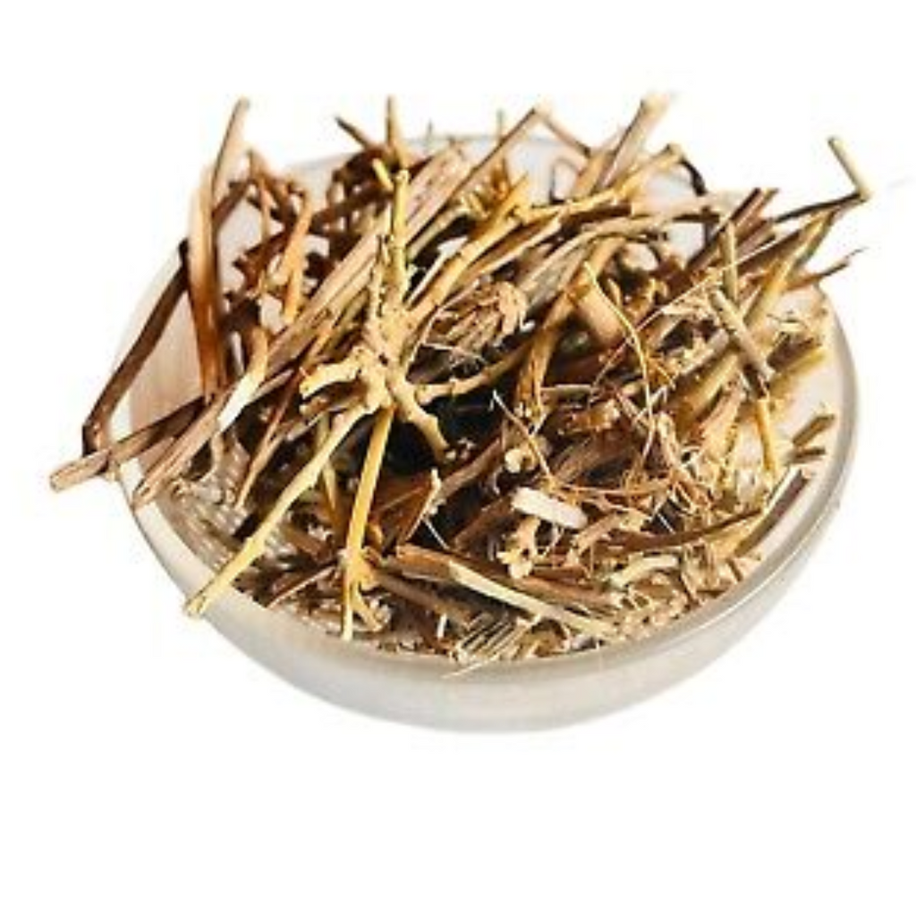 Barham Dandi / Cirsium Vulgare / Bull Thistle / برہم ڈنڈی