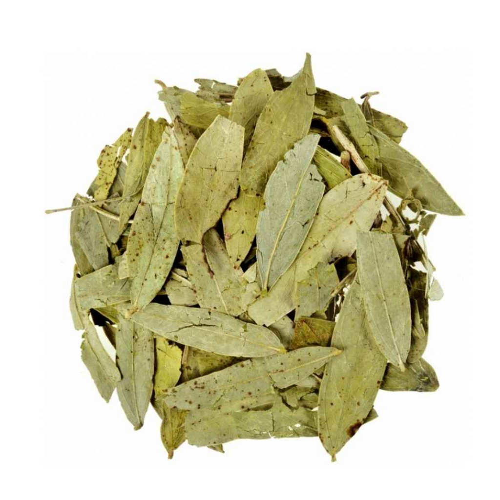 Sana Makki / Senna Leaves / سناء مکی