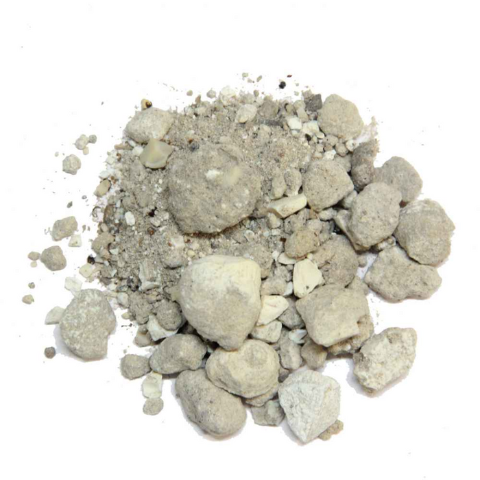 Tabasheer Bansi / Organic Bamboo Silica / طباشیر بانسی