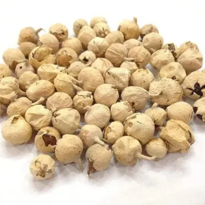 Paneer Dodi / Vegetable Rennet / پنیر ڈوڈی / تخم حیات