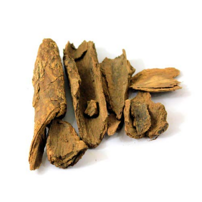 Maida Sak / Common Tallow Laurel / Litsea Glutinosa میدہ سک