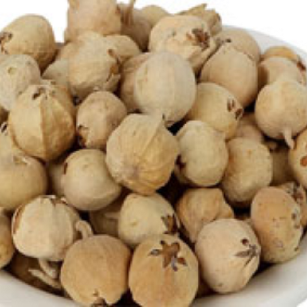 Paneer Dodi / Vegetable Rennet / پنیر ڈوڈی / تخم حیات
