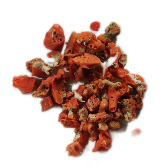 Shakh Marjaan / coral China  شاخ مرجان