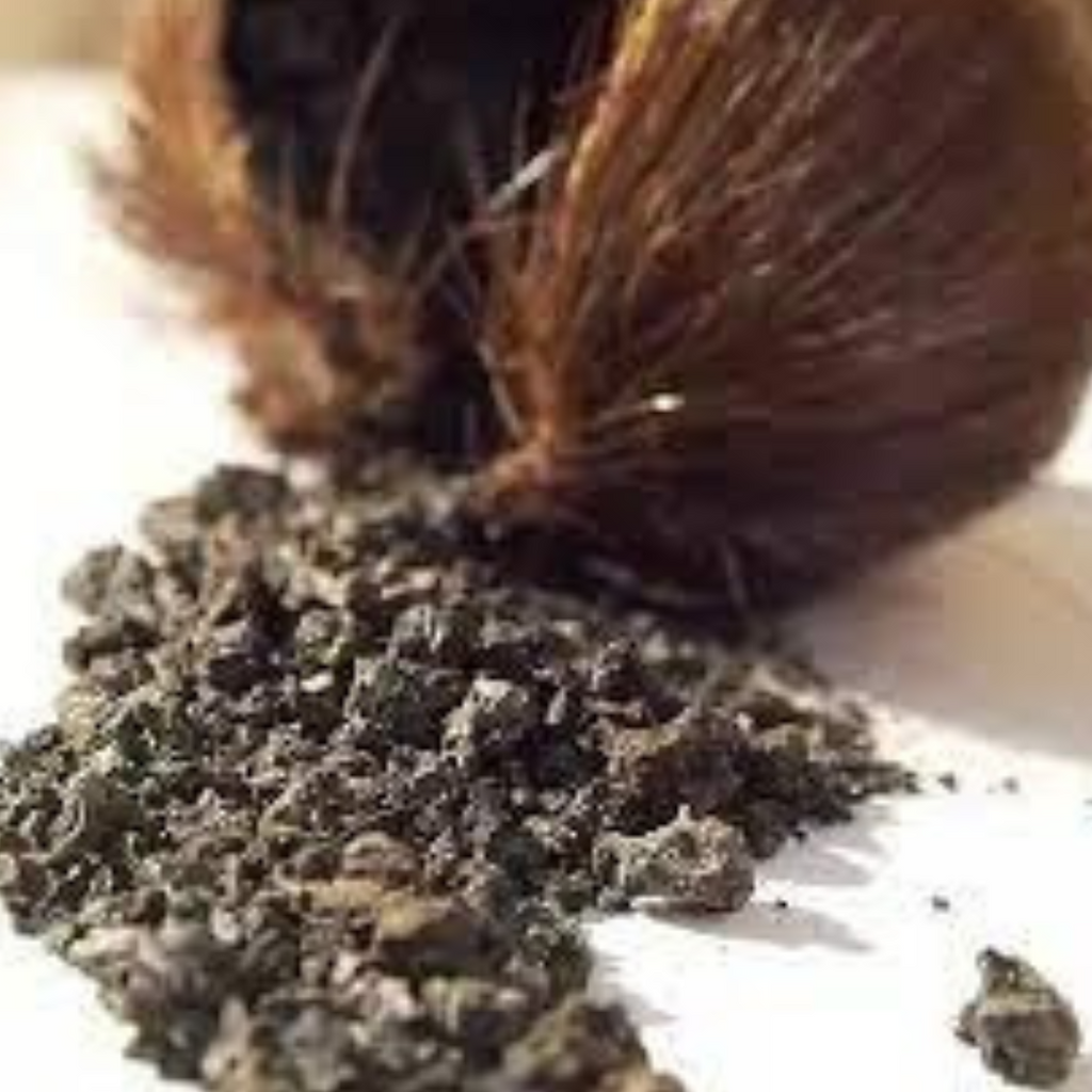 Mushk / Kastori / Deer Musk مشک/کستوری
