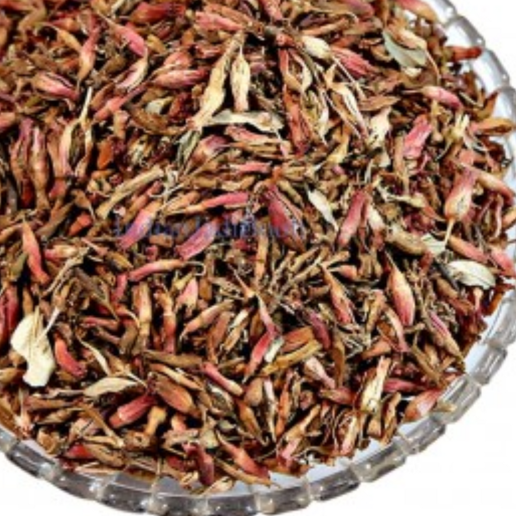Gul e Dhawa / Axle wood Flower / Anogeissus Latifolia / گل دھاوا
