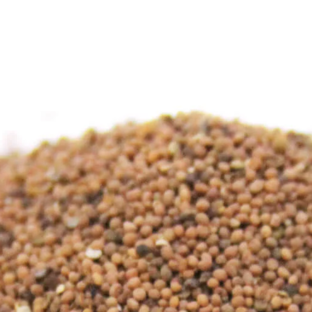 Tukhm e Kasoos / Dodder Seeds / Cuscuta Seeds/ تخم کثوث