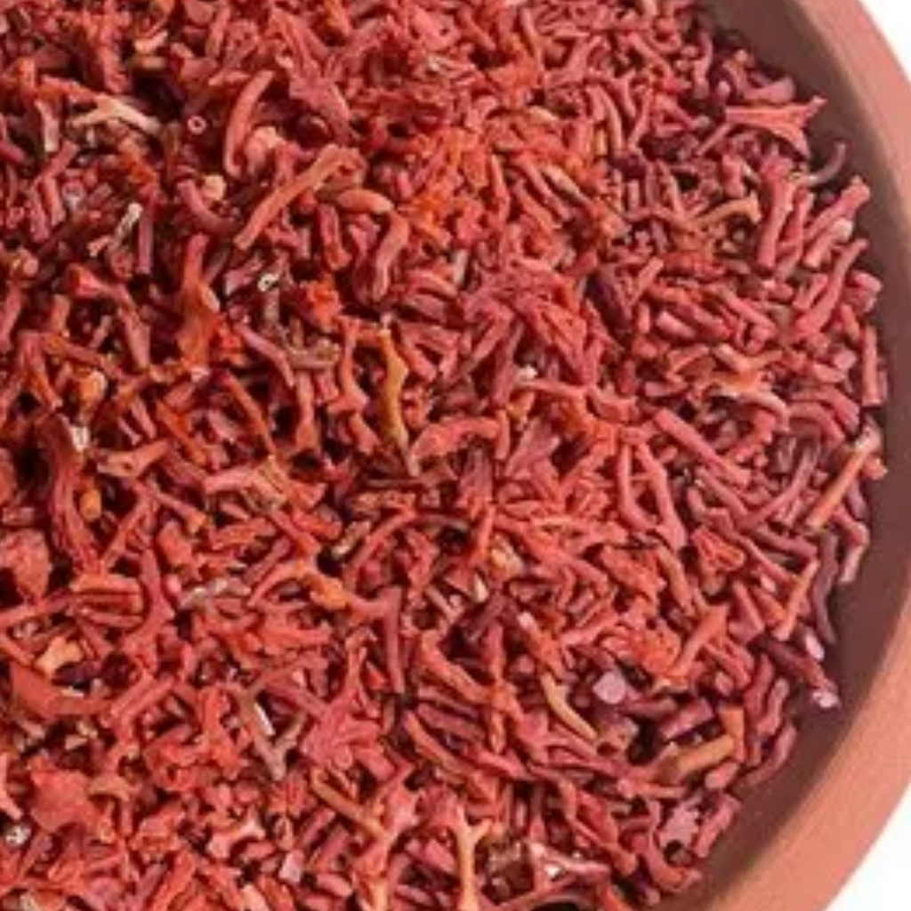 Shakh Marjaan / coral China  شاخ مرجان