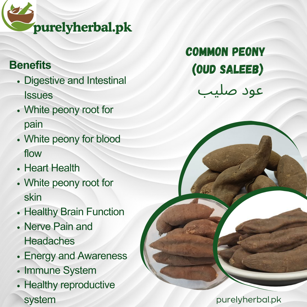 Oud Saleeb / Common Peony / عود صلیب