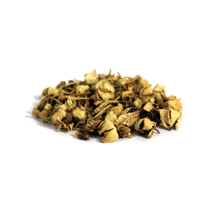 Gul Madar / Crown Flower / Aak Phool گل مدار