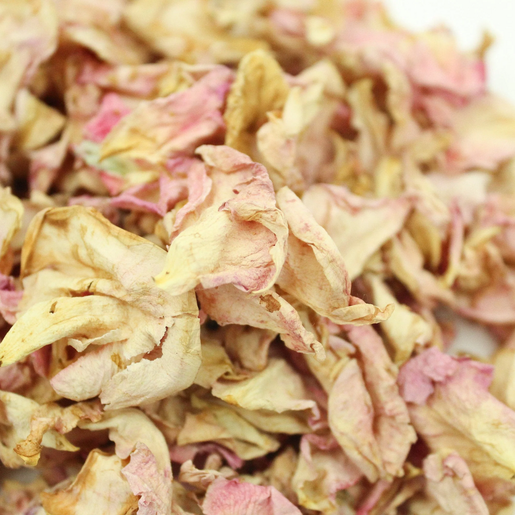 Irani Gulab / White Rose Petals / گلاب ایرانی