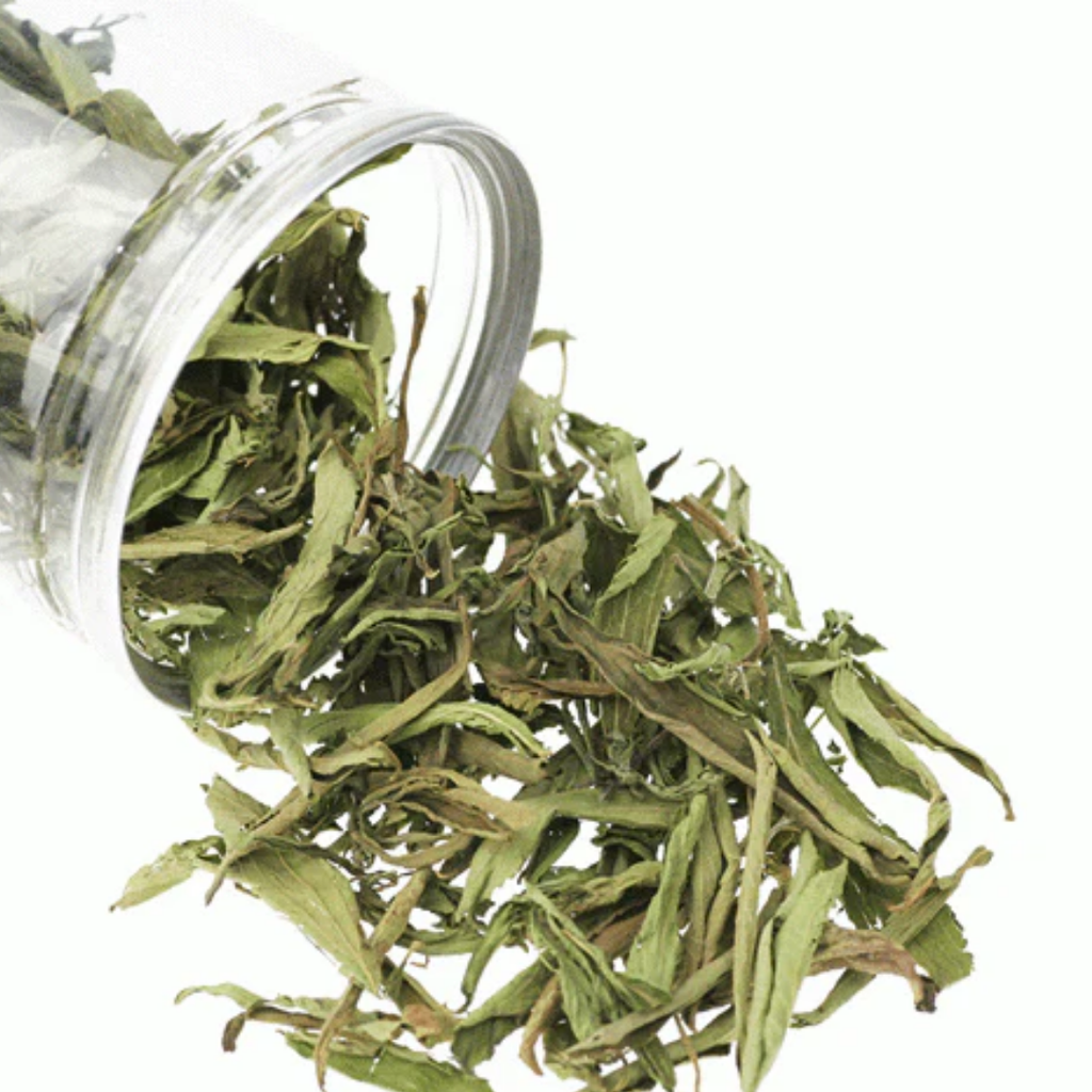 Stevia Leaves سٹیویا