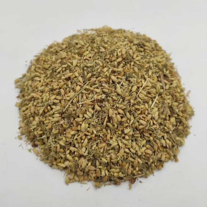 Baranjasaf / Yarrow / Achillea Millefolium / برنجاسف