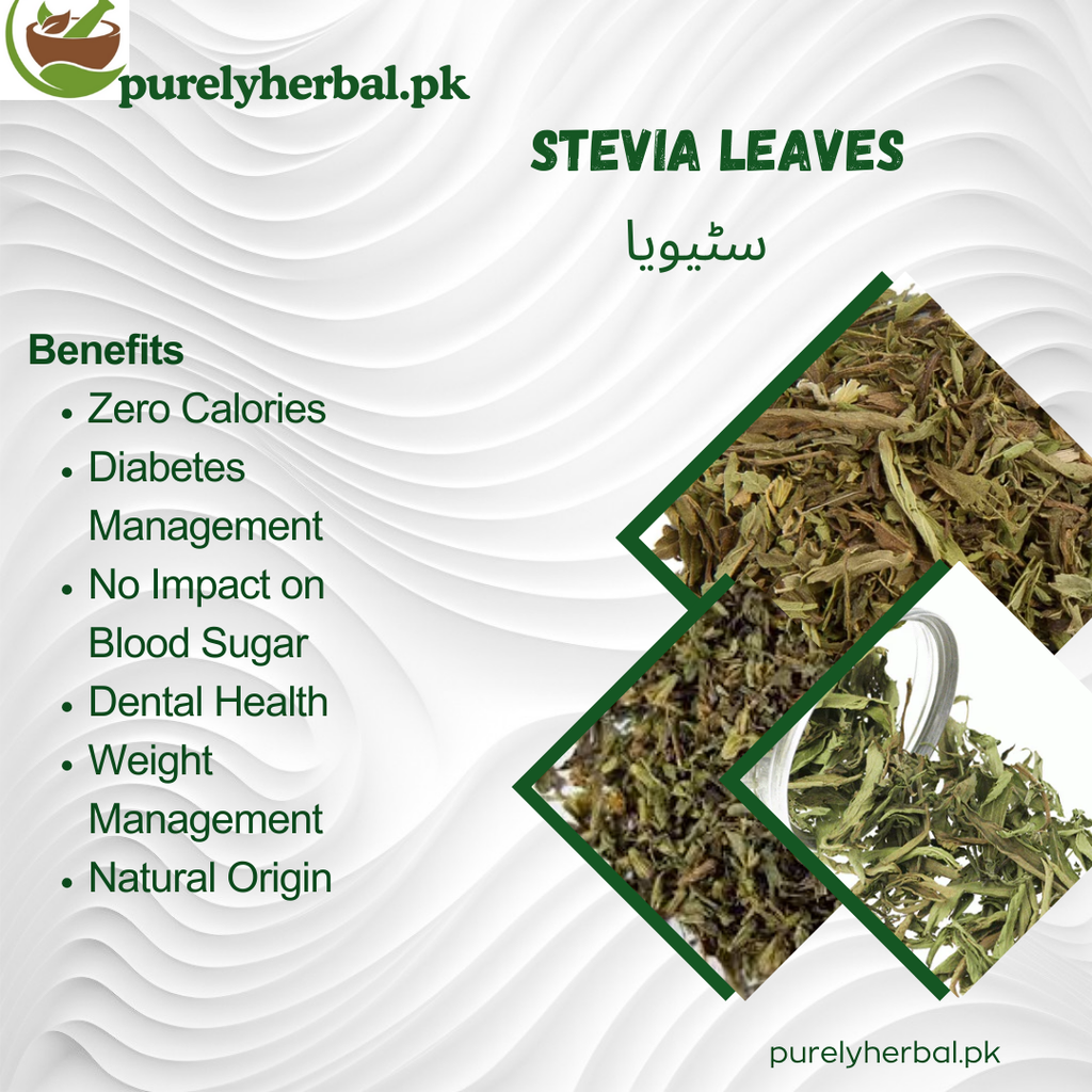 Stevia Leaves سٹیویا