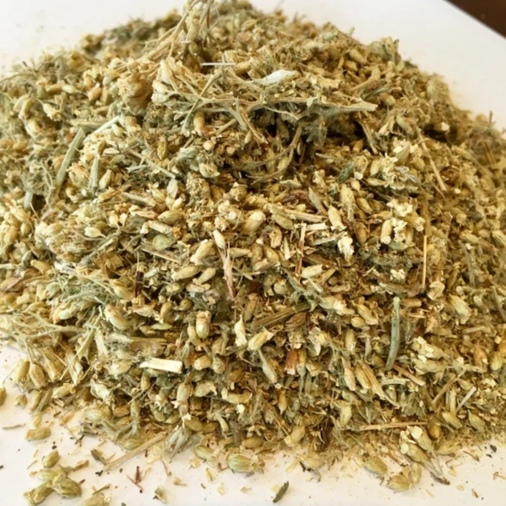 Baranjasaf / Yarrow / Achillea Millefolium / برنجاسف