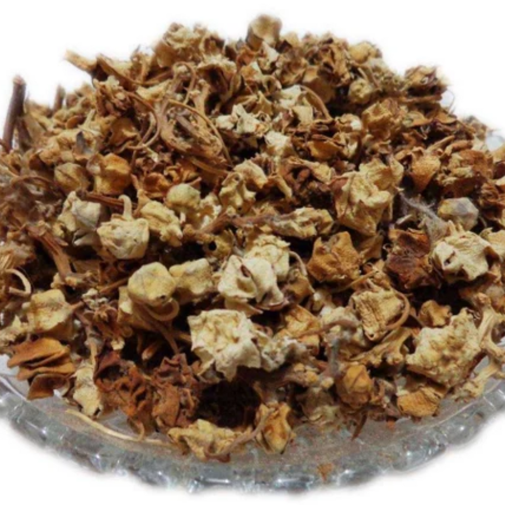Gul Madar / Crown Flower / Aak Phool گل مدار