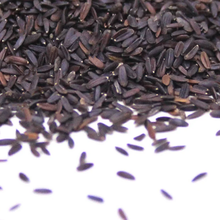 Tukhm e Malanga / Basil Seeds / بلنگو/تخم ملنگا