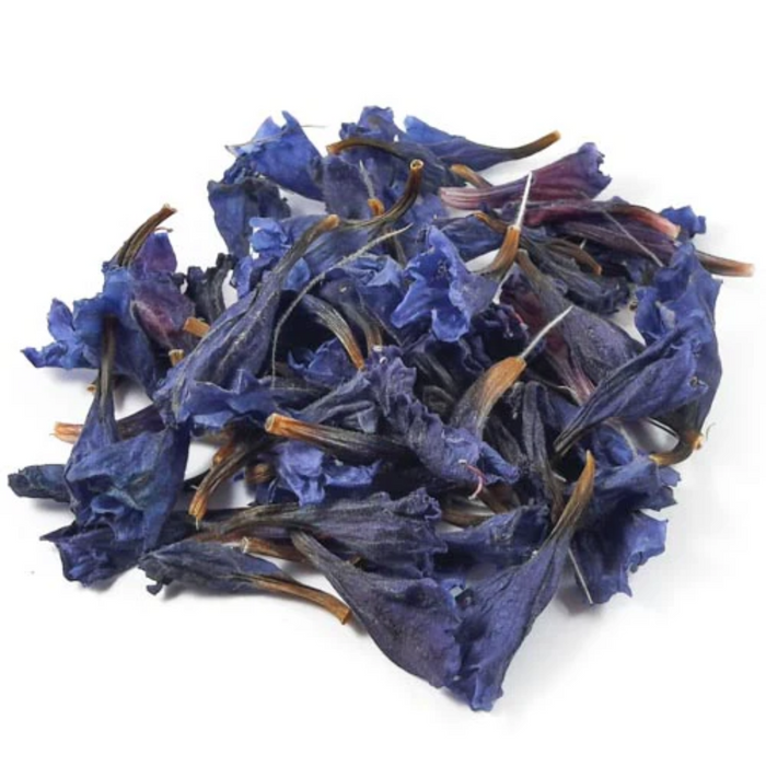 Gul e Gaozuban / Borage Flowers / گل گاوزبان