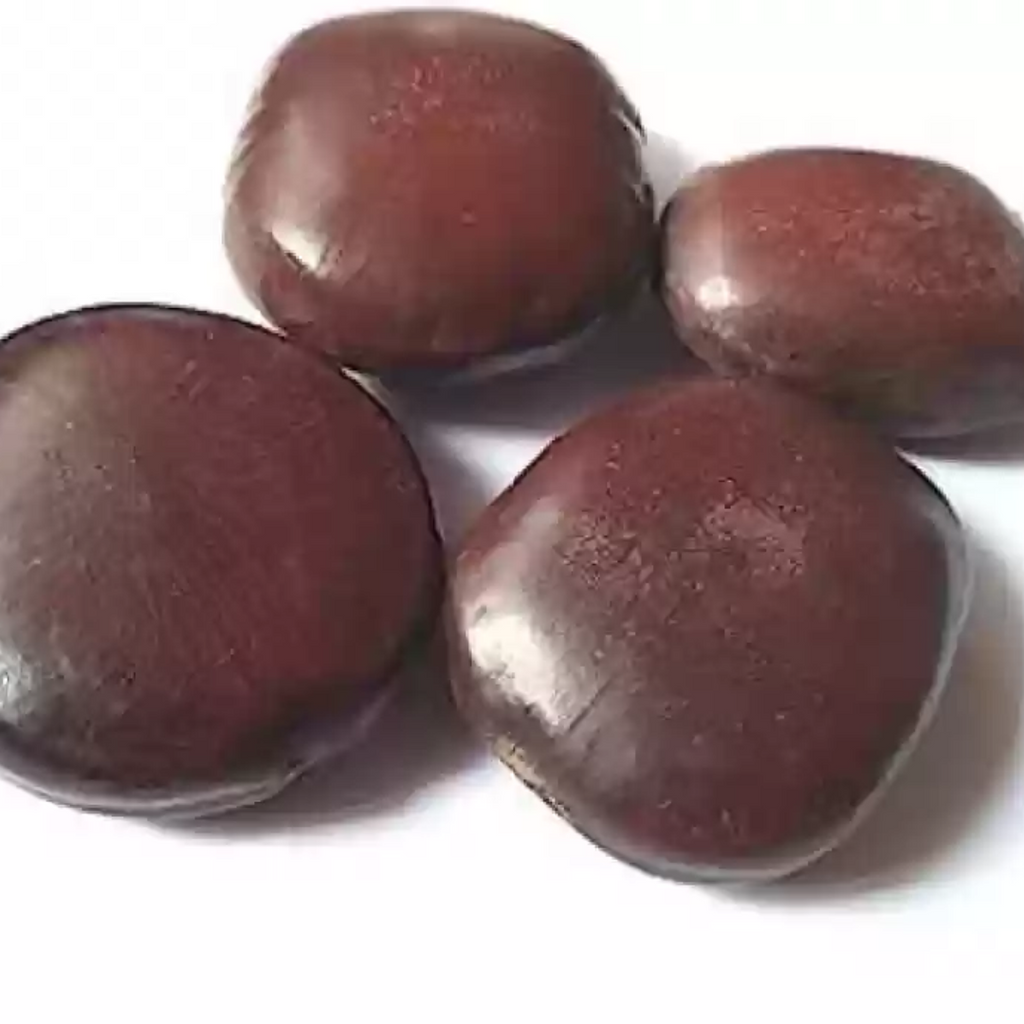 Timbar Hindi / Tamarind Seed  تمبر ہندی
