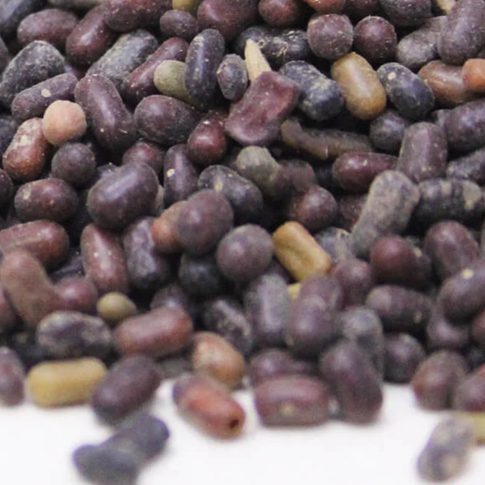 Tukhm e Panwar / Cassia Seeds / پنواڑ