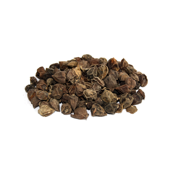Lasoriyan / Dried Assyrian Plum / لسوڑیاں/ سپستان