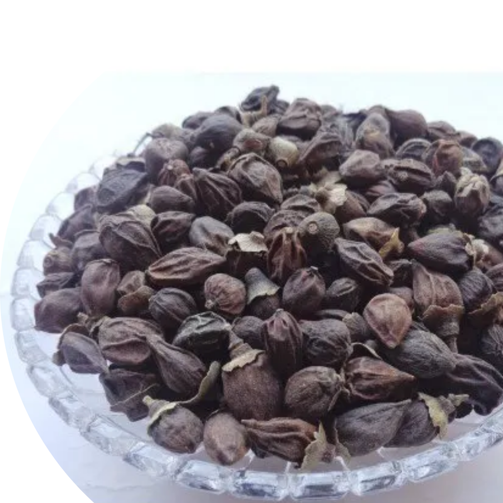 Lasoriyan / Dried Assyrian Plum / لسوڑیاں/ سپستان
