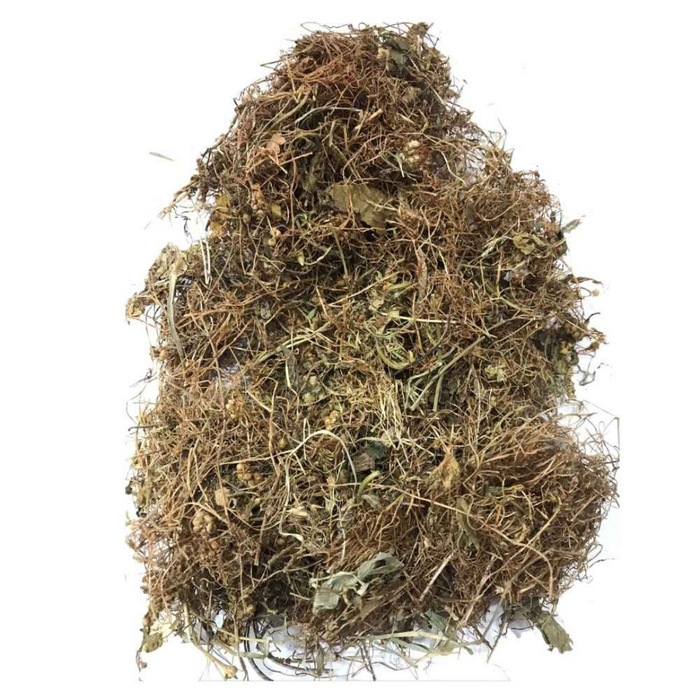 Aftemoon / Dodders / Cuscuta / افطیمون