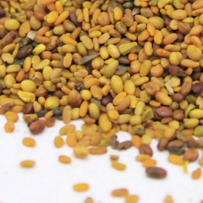 Methi dana / Fenugreek Seeds / میتھی دانہ