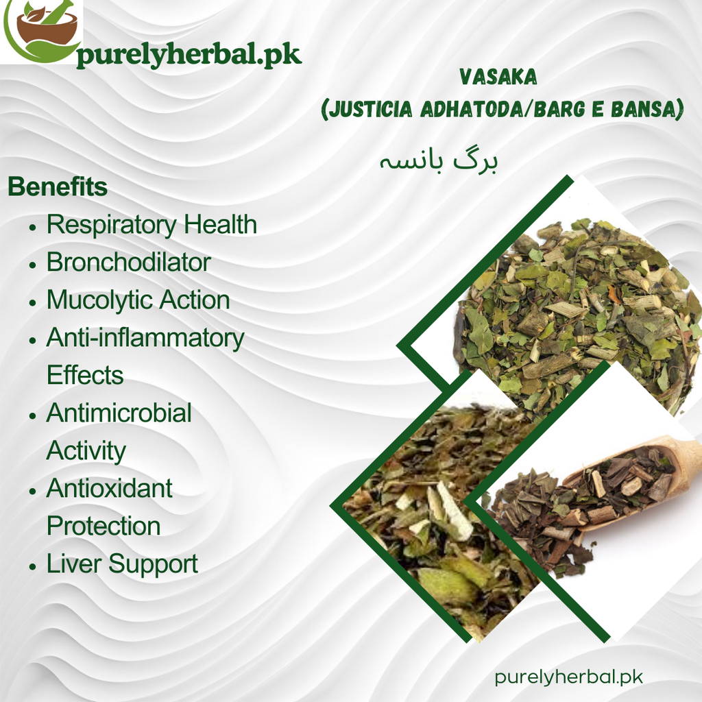 Barg e Bansa / Vasaka / Justicia Adhatoda / برگ بانسہ