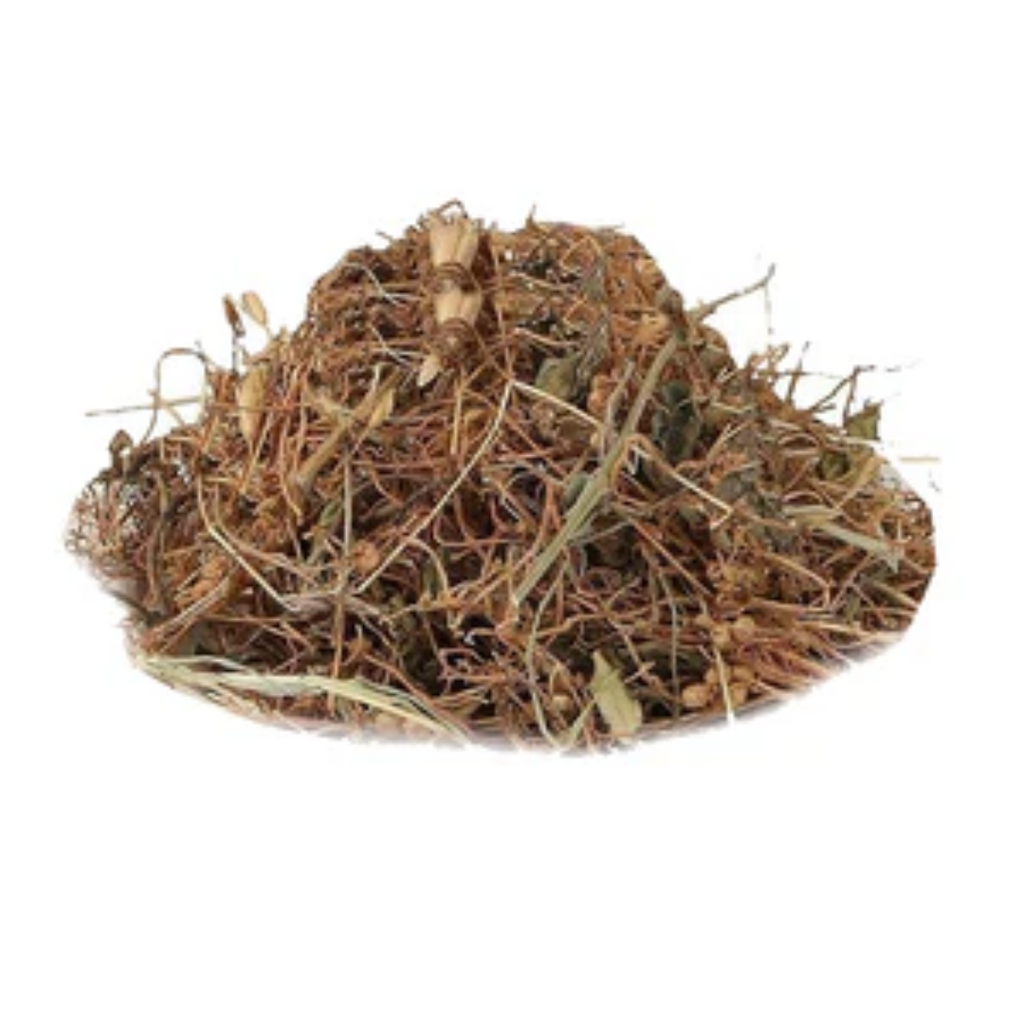 Aftemoon / Dodders / Cuscuta / افطیمون