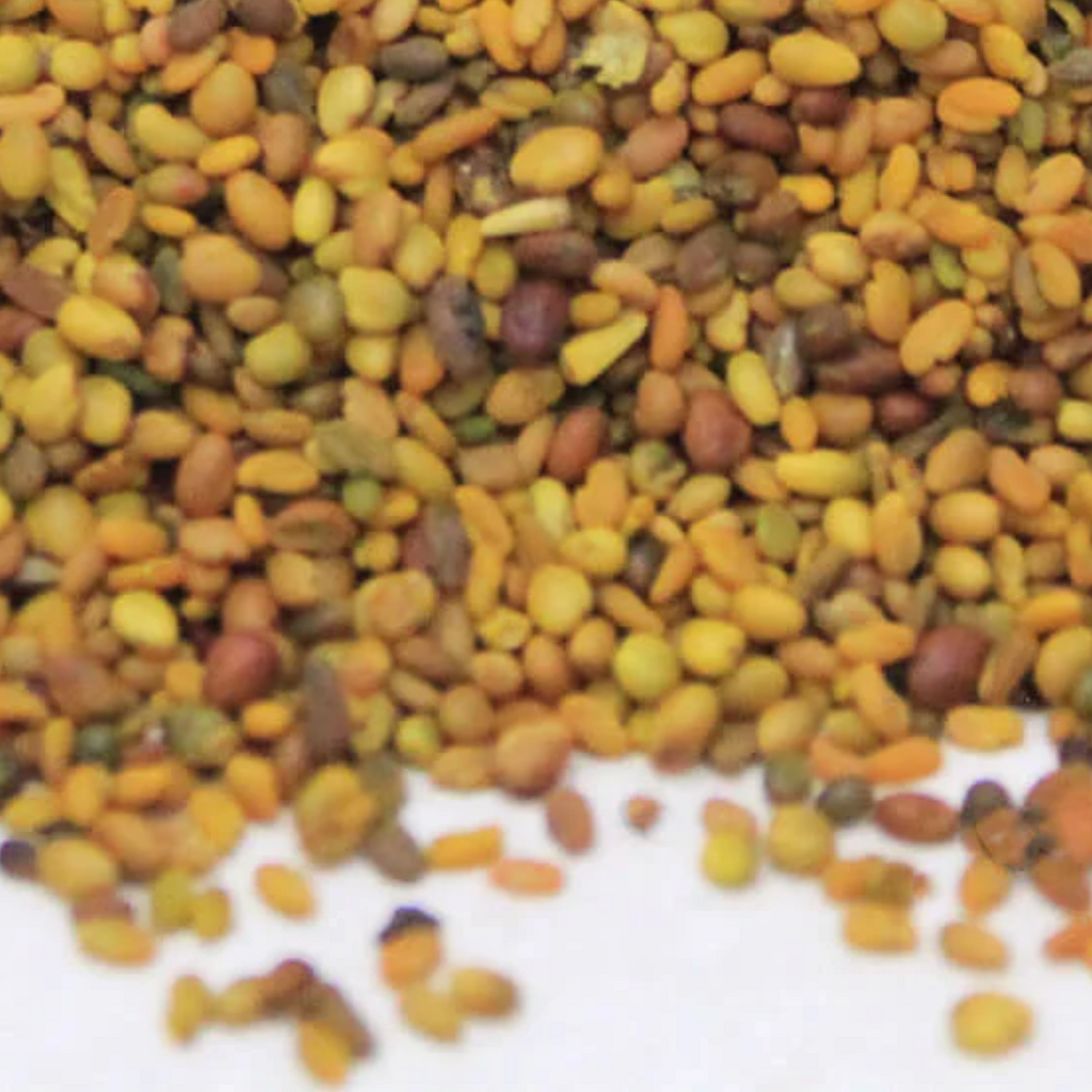 Methi dana / Fenugreek Seeds / میتھی دانہ