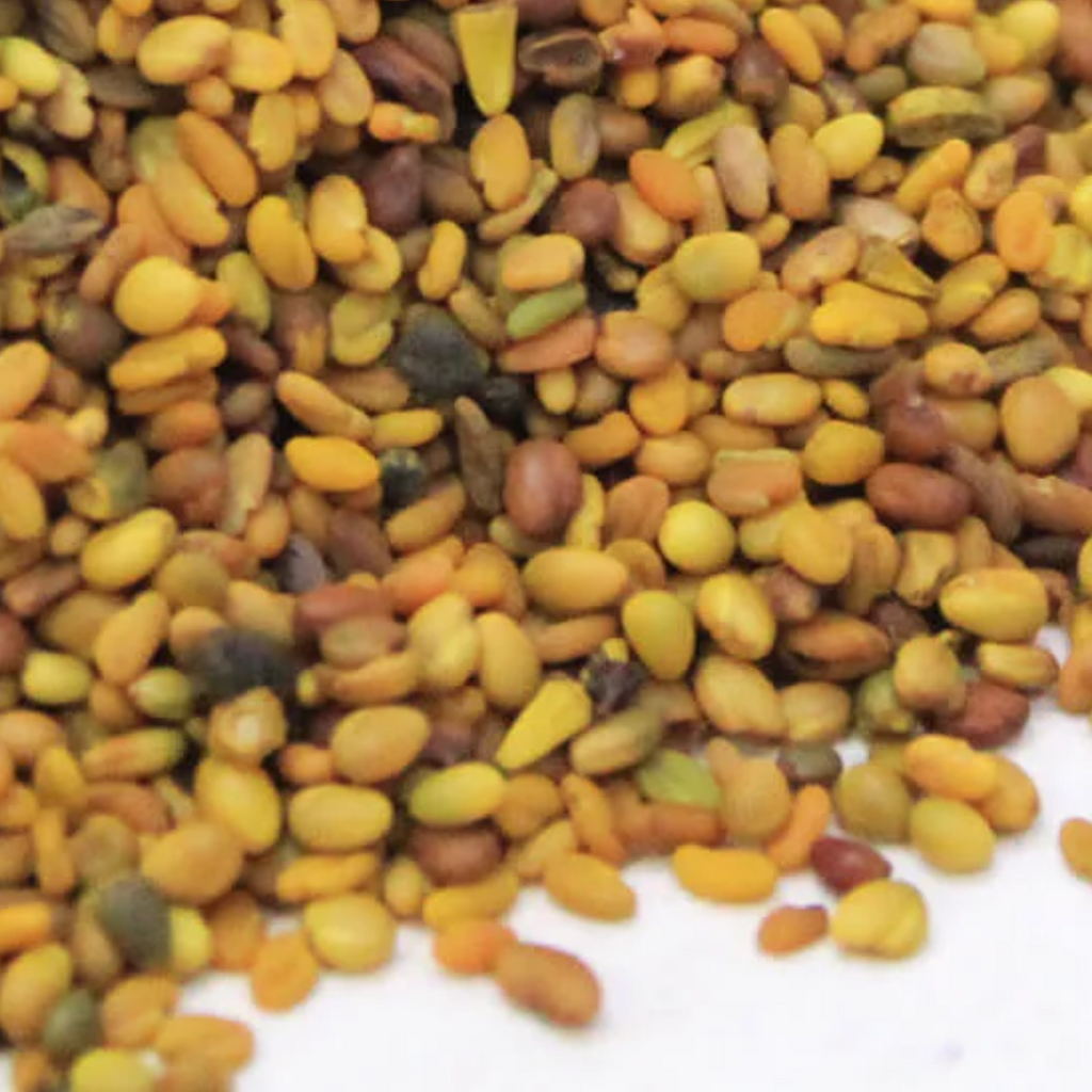 Methi dana / Fenugreek Seeds / میتھی دانہ