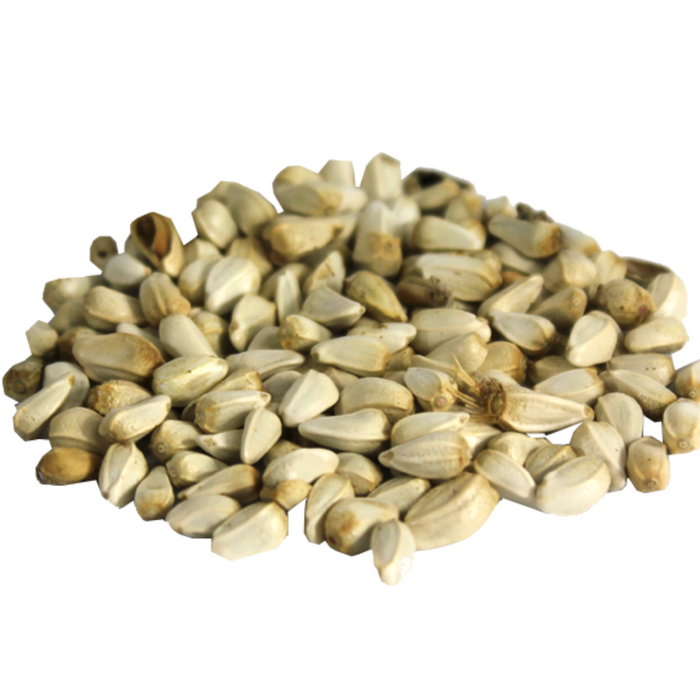 Tukhm e Qurtam / Safflower Seeds قرطم