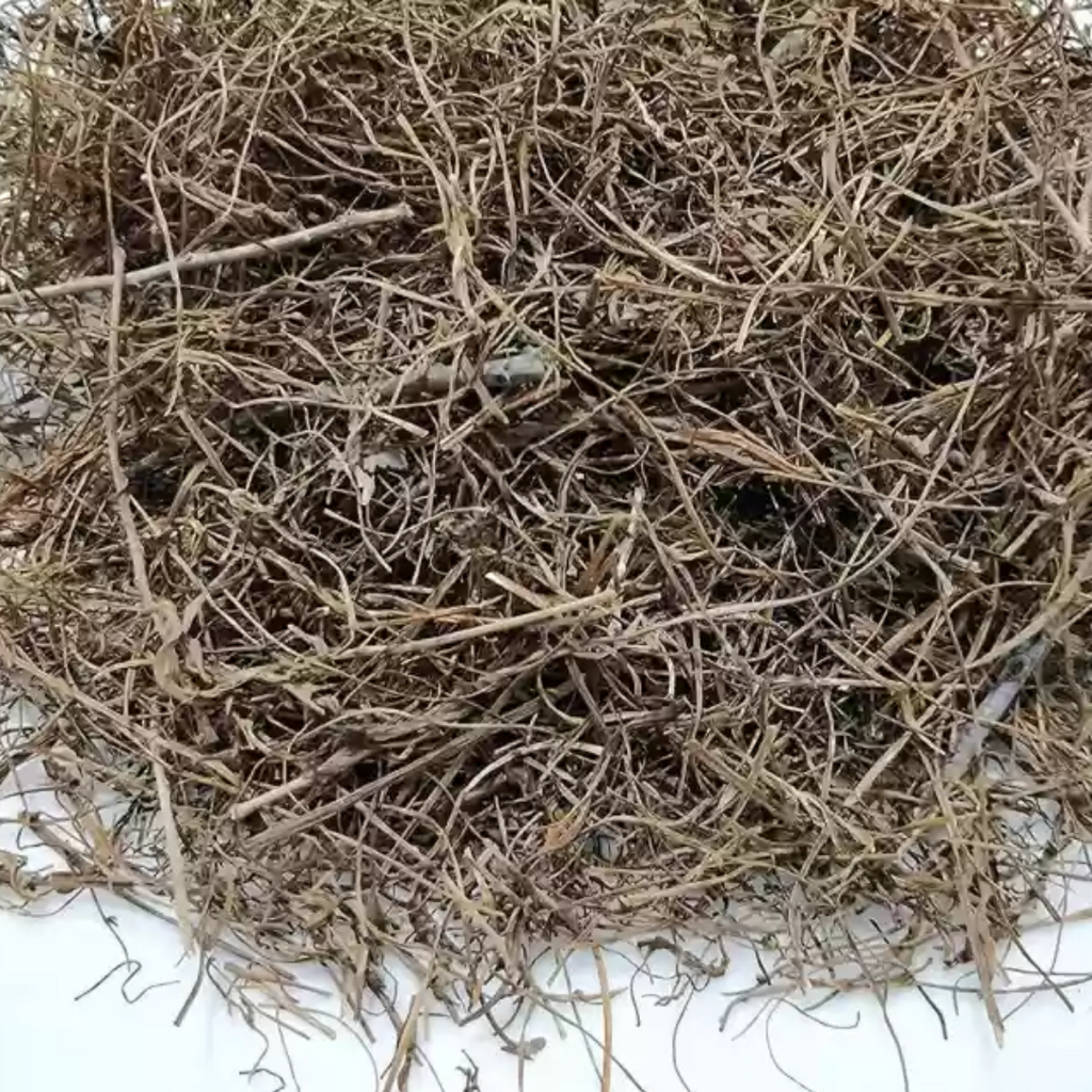 Aftemoon / Dodders / Cuscuta / افطیمون