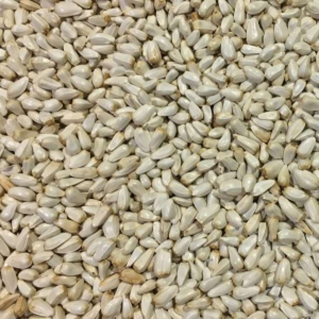 Tukhm e Qurtam / Safflower Seeds قرطم