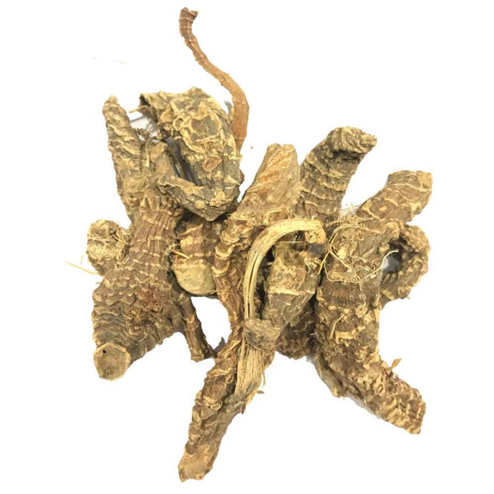 Daronaj Akarbi / Doronicum Hookeri / Clarke / درونج عقربی