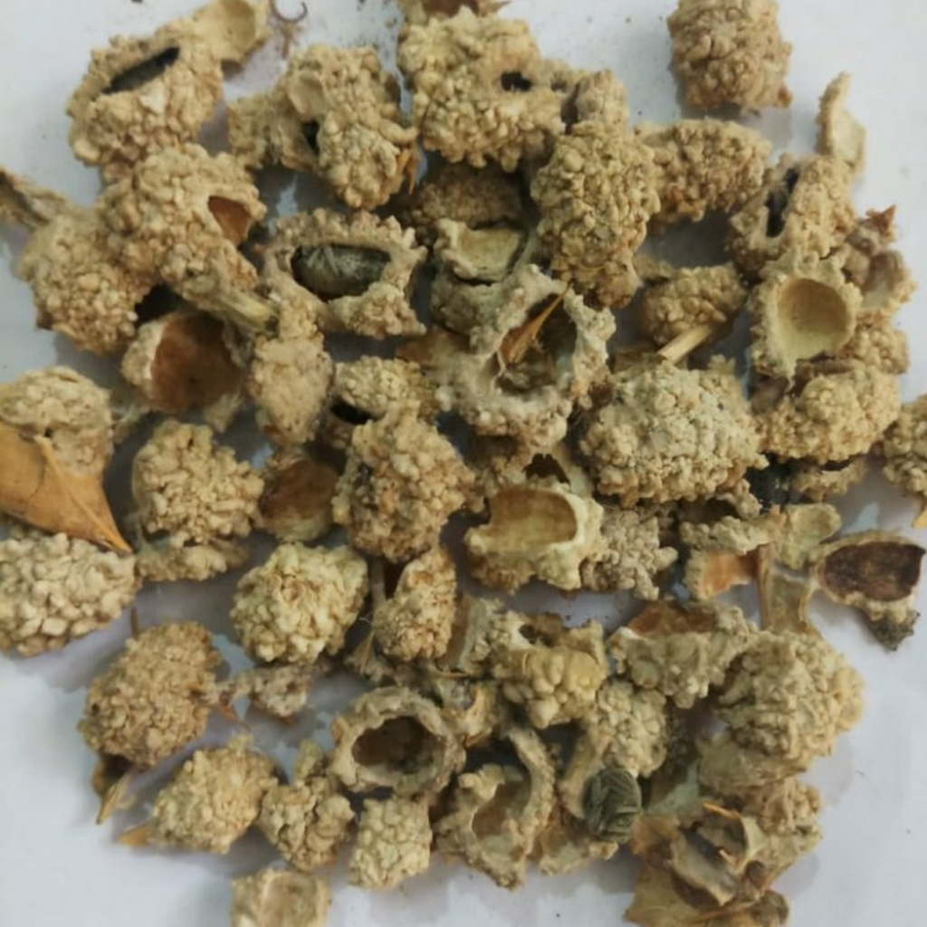 Shakar Tigal / Trehala Manna / شکر تیغال