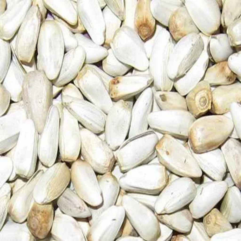 Tukhm e Qurtam / Safflower Seeds قرطم