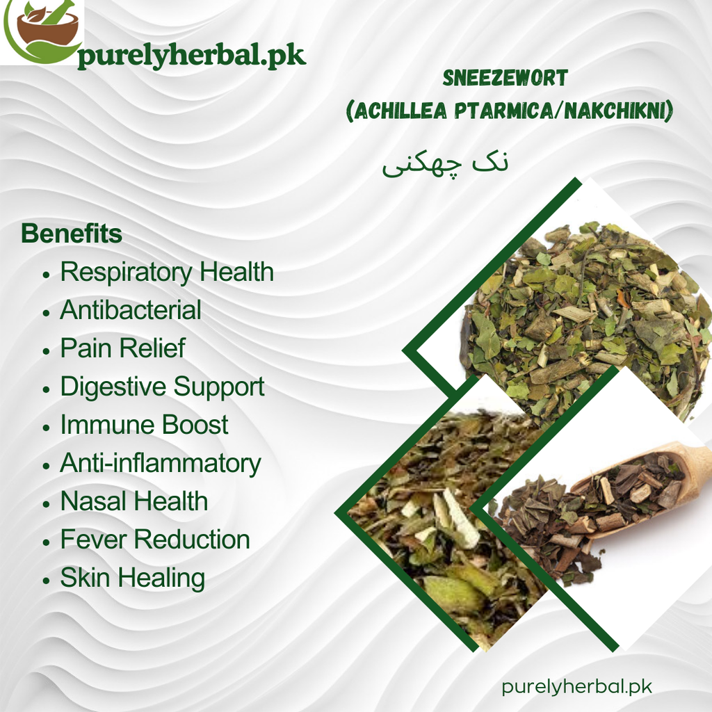 Afsateen / Wormwood / افساطین