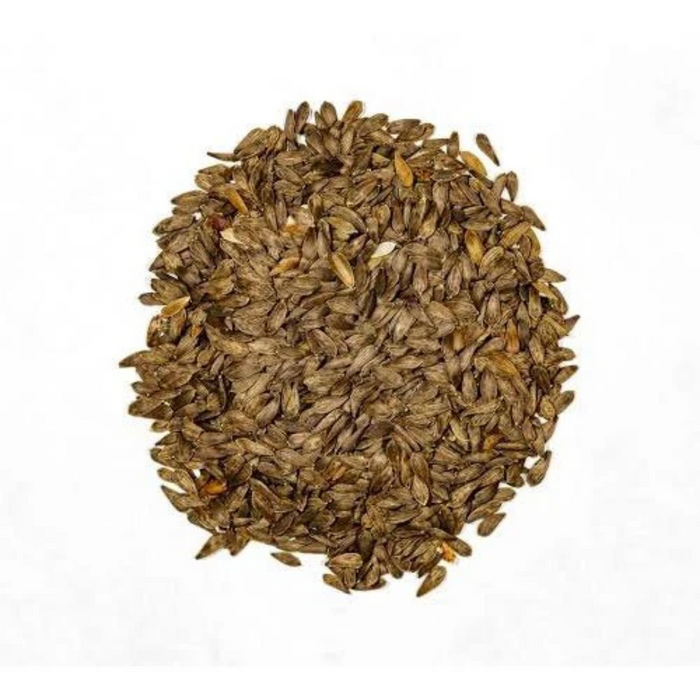 Tukhm e Kahu / Lettuce Seeds / تخم کا ہو