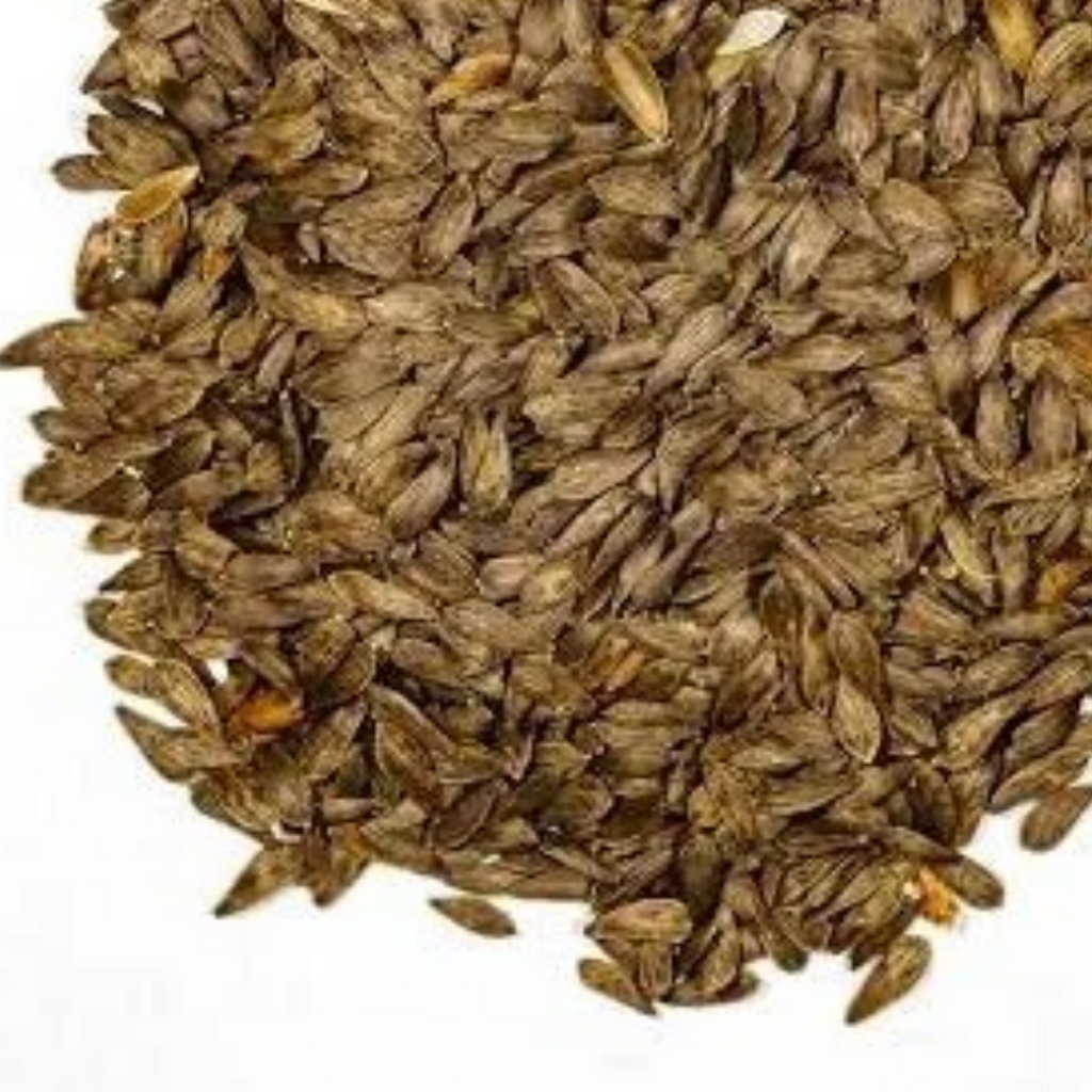 Tukhm e Kahu / Lettuce Seeds / تخم کا ہو