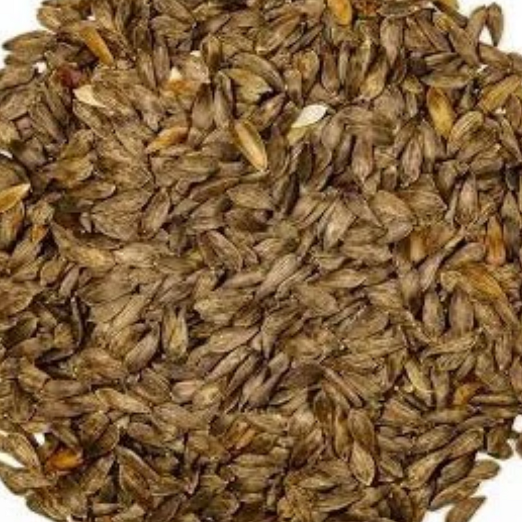 Tukhm e Kahu / Lettuce Seeds / تخم کا ہو