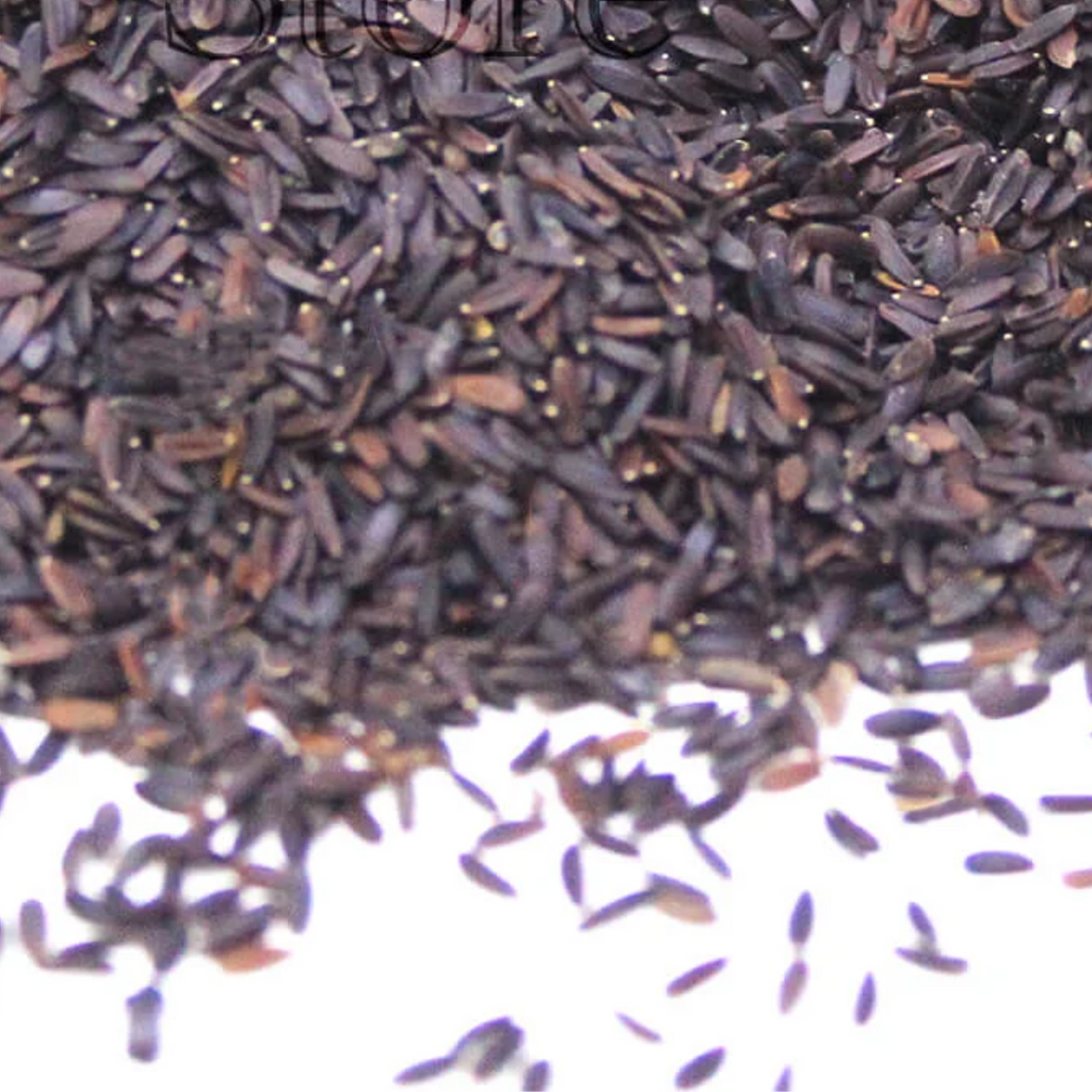 Tukhm e Malanga / Basil Seeds / بلنگو/تخم ملنگا