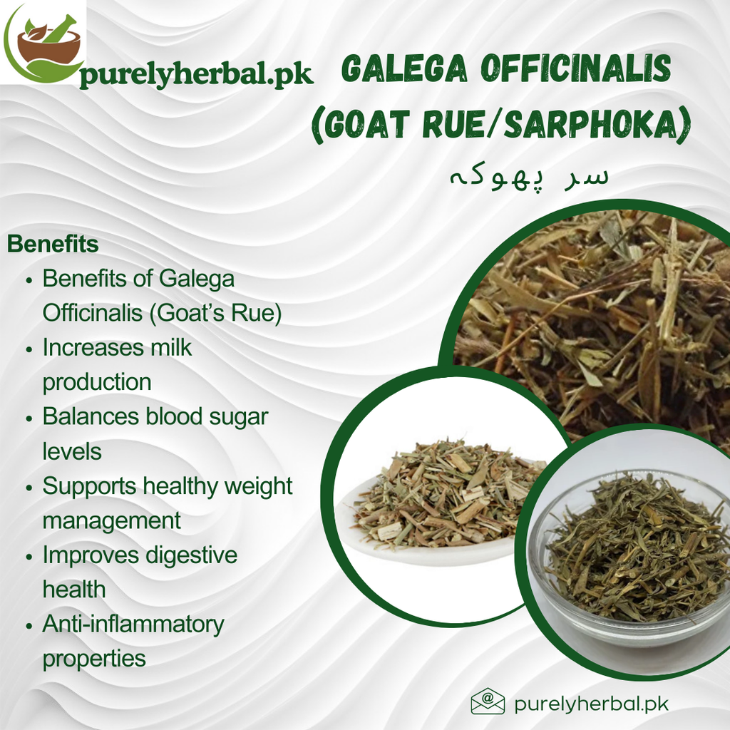 Sarphoka / Galega Officinalis / Goat Rue / سر پھوکہ