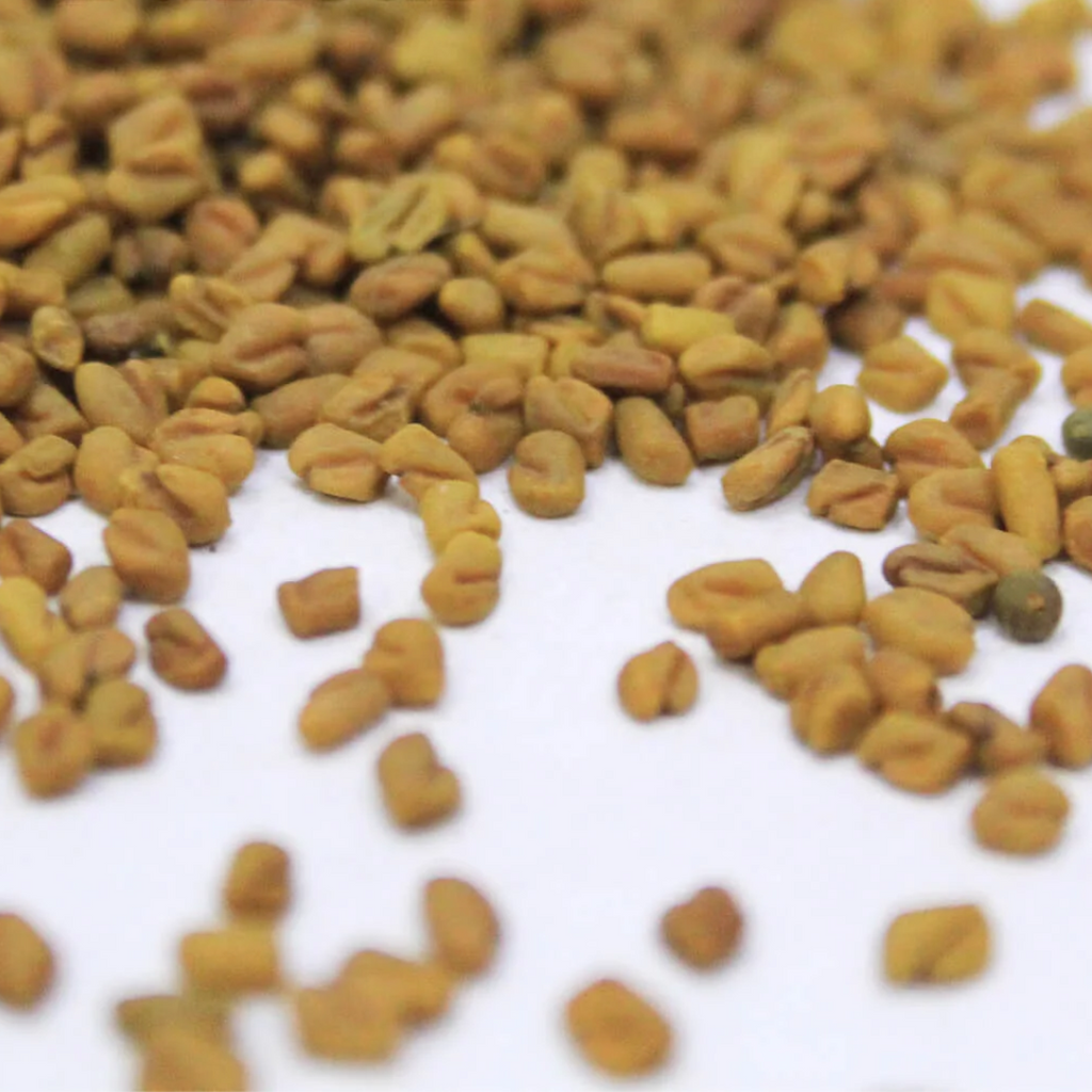 Methray / Graecum Seeds / میتھرے